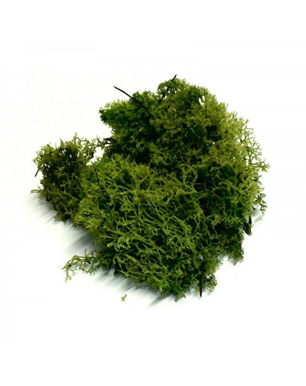 Musgo 15 gr.