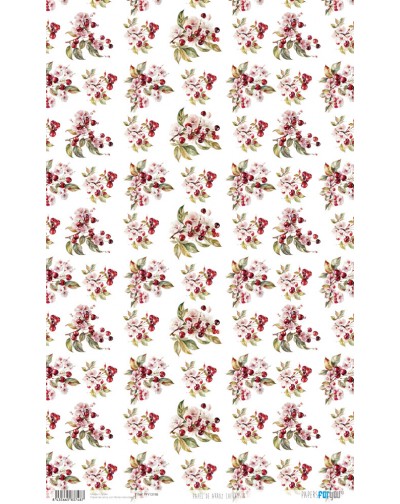 Papel de arroz 54x33