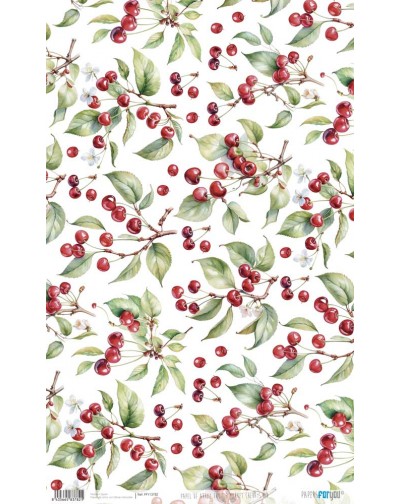 Papel de arroz 54x33