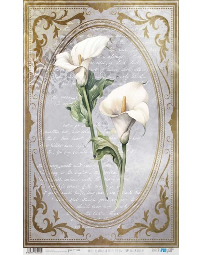 Papel de arroz 54x33