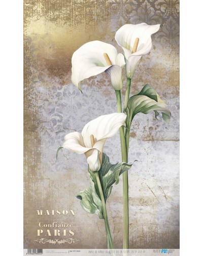 Papel de arroz 54x33