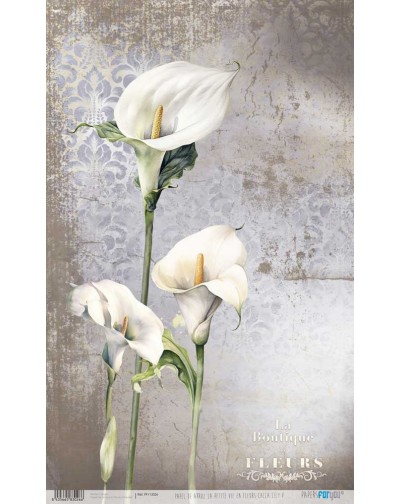 Papel de arroz 54x33