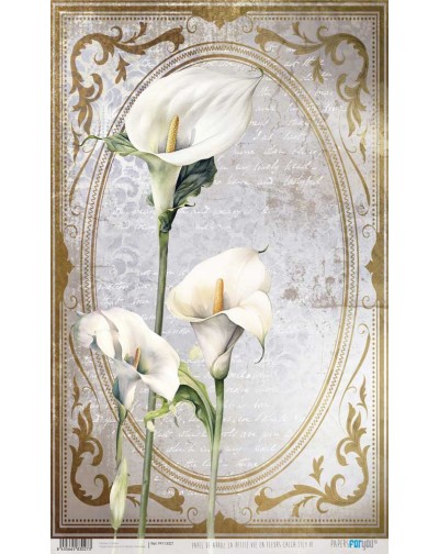 Papel de arroz 54x33