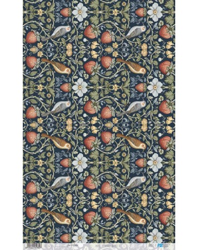 Papel arroz 54x33 cm.