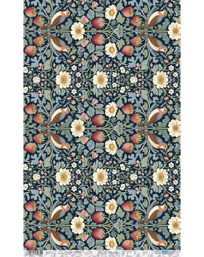 Papel arroz 54x33 cm.