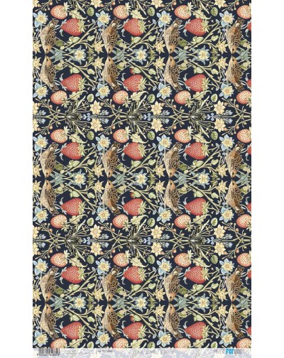 Papel arroz 54x33 cm.