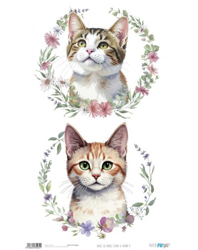 Papel de arroz 54x33