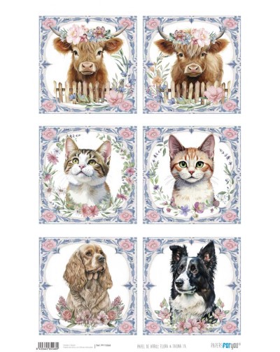 Papel de arroz 54x33