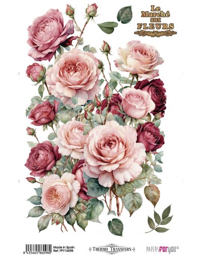 Thermo Transfers (Textil)