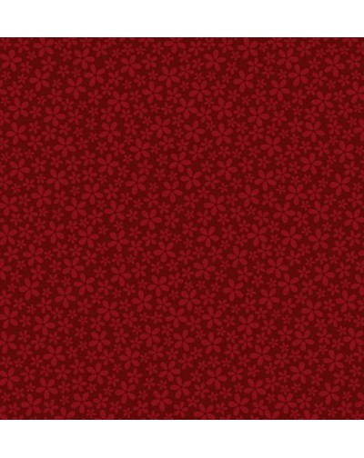 5 Papeles 30x30 cm estampados