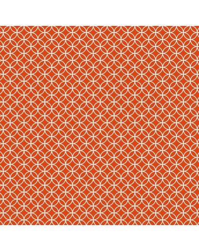 5 Papeles 30x30 cm estampados