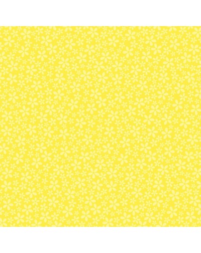 5 Papeles 30x30 cm estampados