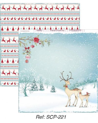 Papel doble cara DAYKA SCP221