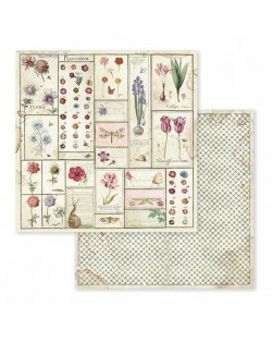 Colección Spring Botanic 12x12" stamperia SBBL50