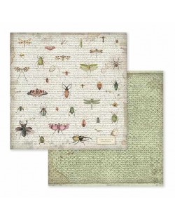 Colección Spring Botanic 12x12" stamperia SBBL50