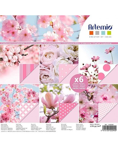 PAPEL SCRAP PHOTO PAGE ROSA 30x30cm 6 UD 