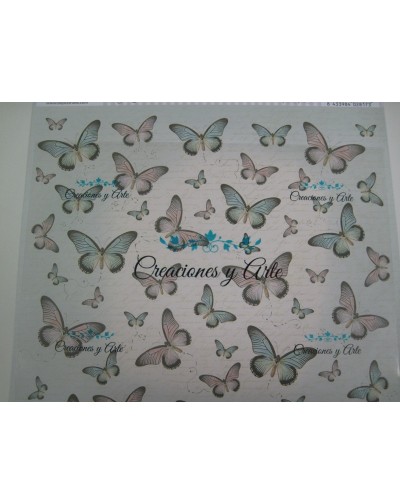 Papel doble cara DAYKA SCP069