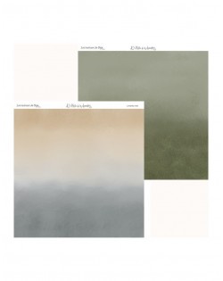 Los hechizos de Olga (Coleccion 14 papeles)